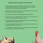 Il Picchio *