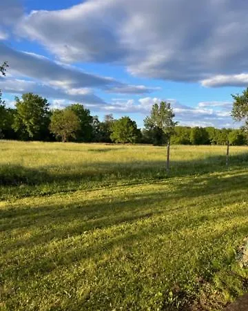 Il Picchio Apartment *