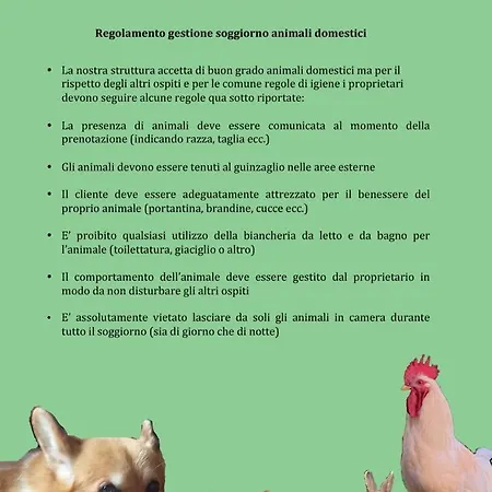 Il Picchio *