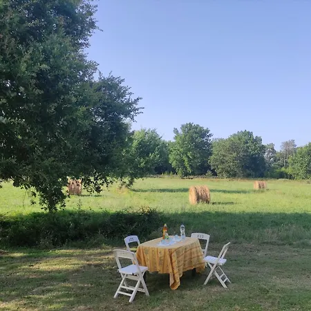 Apartment Il Picchio