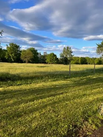 Il Picchio Appartement *